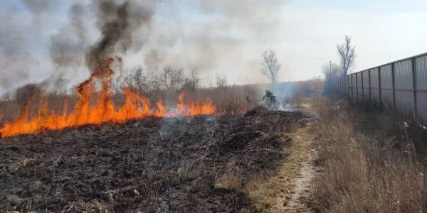 Білозерські рятувальники ліквідували пожежу очерету