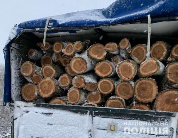 В Олешковском районе браконьеры напилили вяза на 100 тысяч гривен