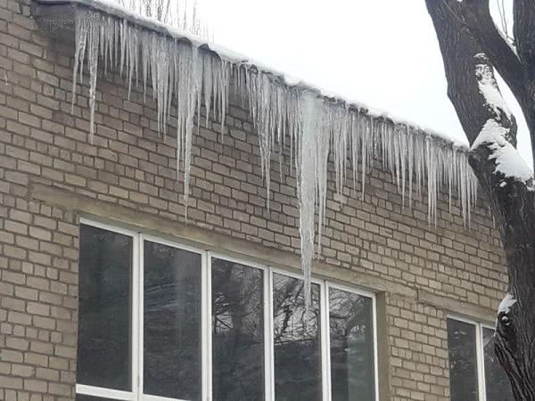 Прогулки на выживание по херсонским улицам