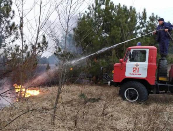 Олешківські рятувальники ліквідували пожежу на відкритій території