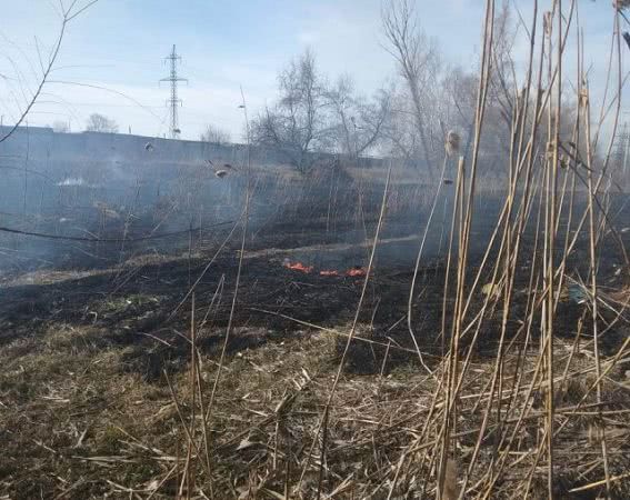 За минувшие сутки ликвидировано три пожара в экосистемах