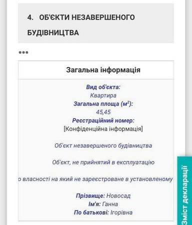 Декларация Анны Новосад, скриншот: declarations.com.ua