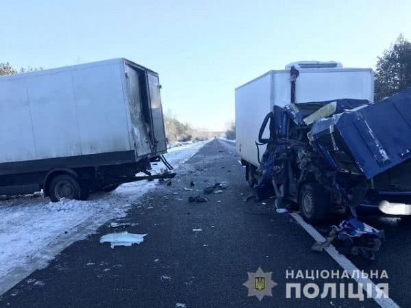 В ДТП на Мелитопольской трассе погиб водитель "Мерседеса": подробности полиции