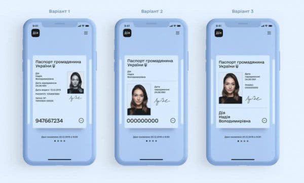Федоров показал, как будет выглядеть электронный паспорт