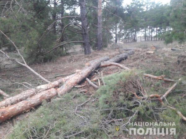 В Голопристанському районі поліцейські встановлюють лісових браконьєрів