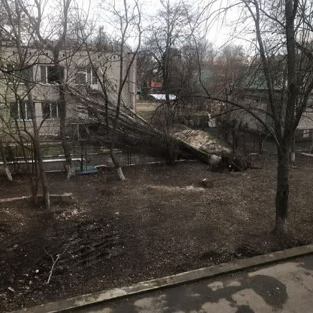 В Херсоне огромный тополь рухнул на здание детского сада