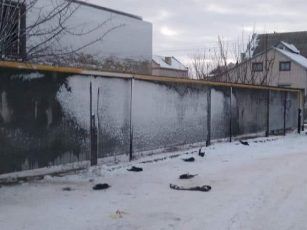 Экологическое бедствие: в Каховке массово гибнут вороны