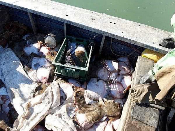 Оккупанты задержали судно с украинцами в Азовском море: фото