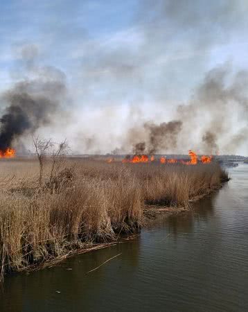 На Херсонщине за сутки 3 раза горели сухая трава, мусор и камыш
