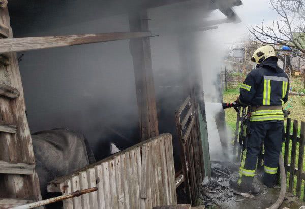 Ліквідовано пожежу допоміжної споруди у приватному домоволодінні