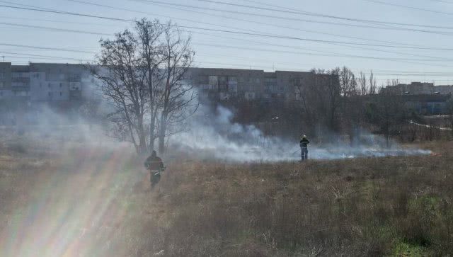 За сутки в области 5 раз горела сухая трава
