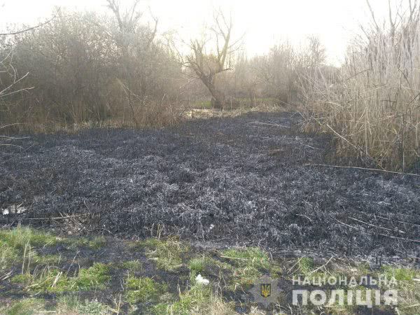 В Олешівському районі затримали підпалювача плавнів