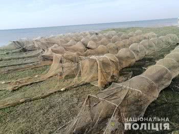Погоня за креветкою загрожує до 3-х років позбавлення волі