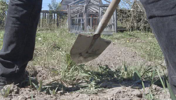 У Скадовську поліцейські затримали чоловіка, який побив знайому лопатою