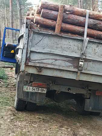 Карантин на Херсонщине не мешает промышлять лесным брконьерам