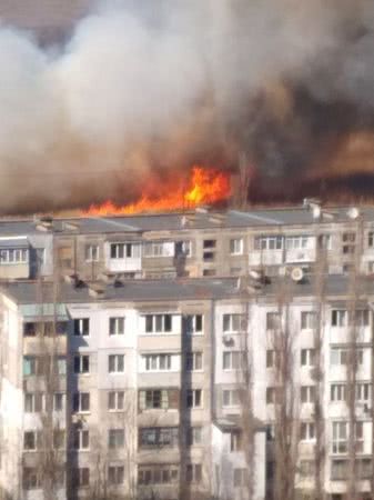 Вокруг Херсона горят камыши. Огонь подбирается к жилым строениям