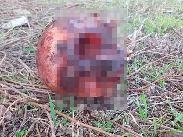 На Херсонщине раскрыли загадку человеческого черепа