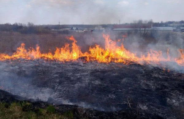 Минулої доби вогнеборці 10 разів виїжджали на гасіння пожеж на відкритих територіях області
