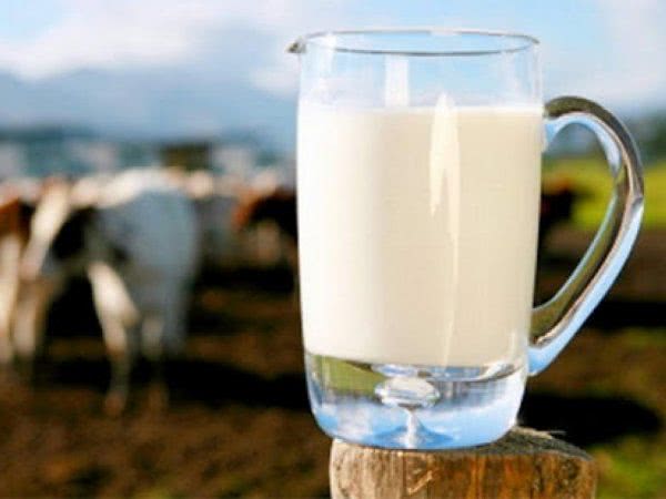 В Украине производители молочных продуктов столкнулись с проблемой дефицита сырья - эксперт