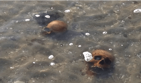На Кинбурнской косе море вынесло черепа людей. Жуткое видео