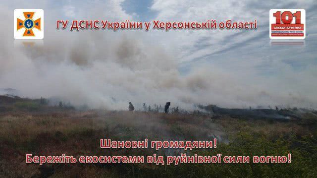 В области за сутки 8 раз горели сухая трава, мусор и камыш