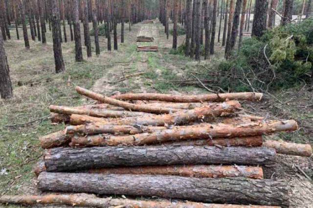 Рекордный антирекорд имеем на Херсонщине