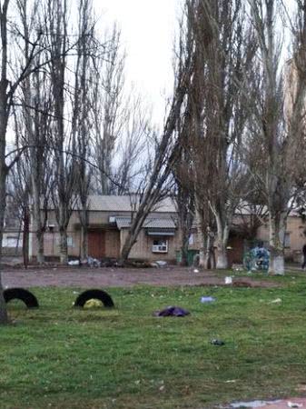 На Кольцова тополь может обрушиться жителям на головы