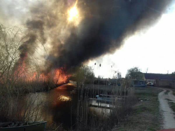 В екосистемах області ліквідовано 6 пожеж