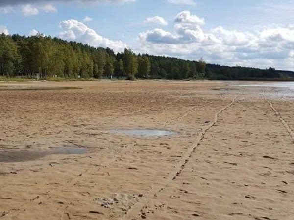 Украина движется по негативному климатическому сценарию - ученый