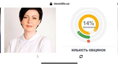 Серед відповідальних нардепів – Вагнер, з нульовою відповідальністю - Колихаєв