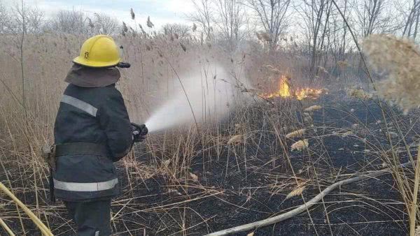 Минулої доби на відкритих територіях області ліквідовано чотири пожежі
