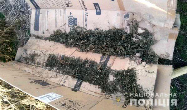 Дільничні поліцейські вилучили понад кілограм наркотиків у жителя Скадовського району