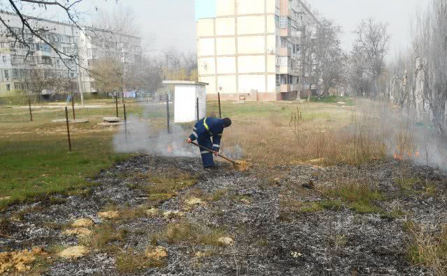 В области вчера 6 раз горели сухая трава, подстилка и камыш