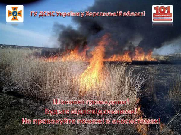 На открытых территориях области 4 раза горели сухая трава, мусор и камыш