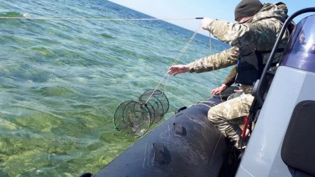 Пограничники обнаружили 60 браконьерских ловушек вблизи острова Джарылгач