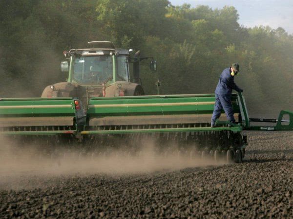Украинские аграрии начали пересевать зерновые в некоторых регионах - эксперт