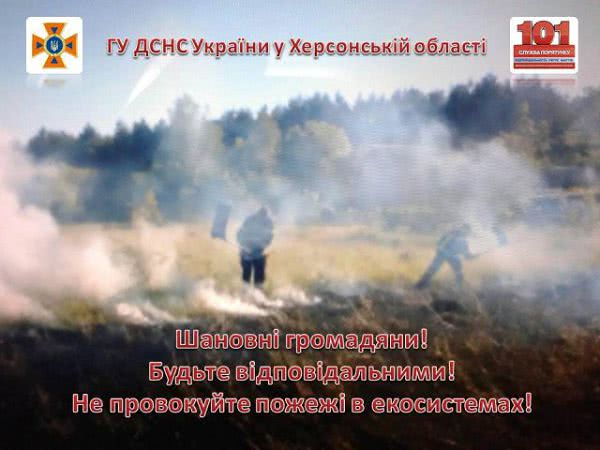 В области ликвидировано 7 пожаров в экосистемах