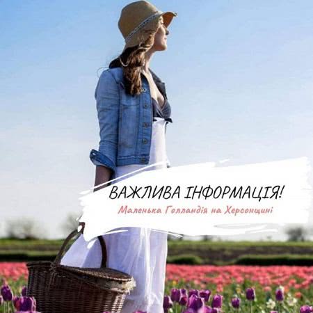 Фестиваль тюльпанов "Маленькая Голландия" не состоится в этом году на Херсонщине