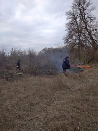 Голопристанські вогнеборці ліквідували дві пожежі сухостою