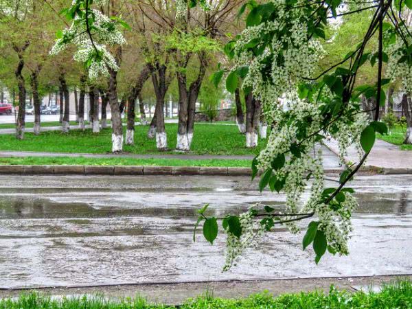 Начало мая на Херсонщине будет дождливым, - синоптики