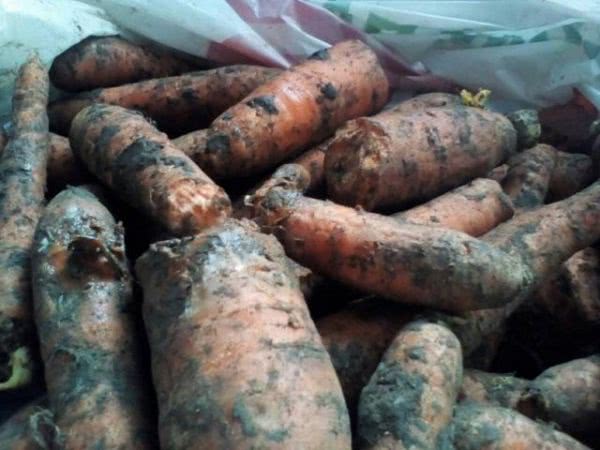 Херсонцам вручают гнилые овощи в качестве помощи
