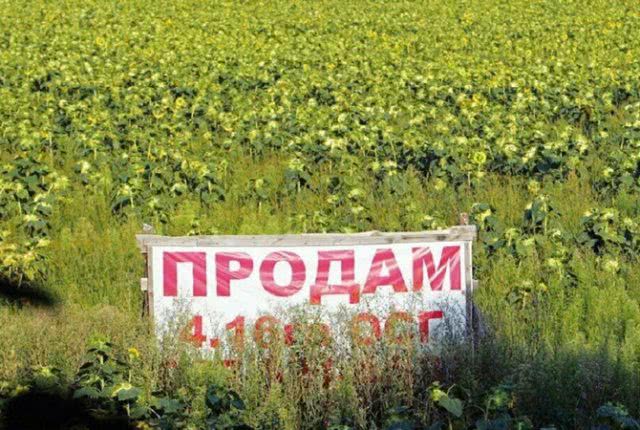 Как открытие рынка земли повлияет на украинскую экономику
