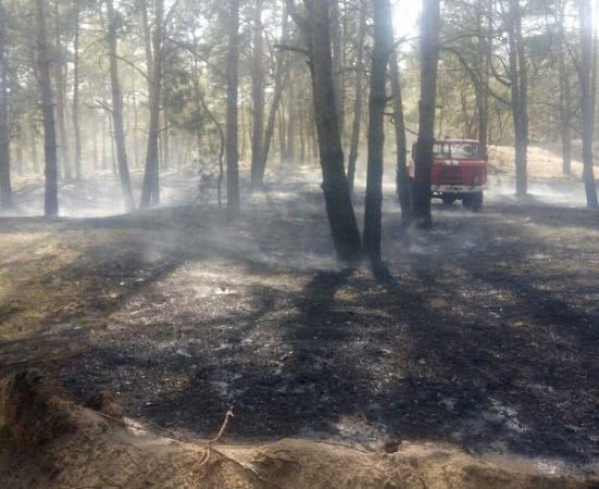 Протягом минулої доби рятувальники залучались до ліквідації двох лісових пожеж