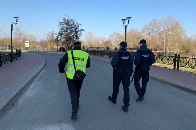 В Украине из-за карантина начали сдавать собак в аренду: сколько просят
