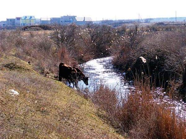 Костры под Херсоном угрожают поджогом торфяников