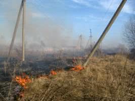 Енергетики закликають не розводити багаття