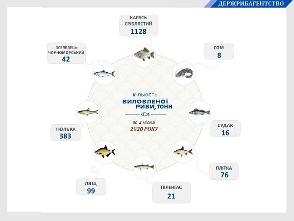 Вылов рыбы – показатели по Азовскому морю резко выросли - фото 2