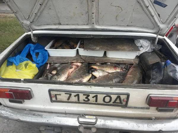 На Херсонщине зафиксировано незаконную перевозку 150 кг рыбы, - Херсонский рыбоохранный патруль