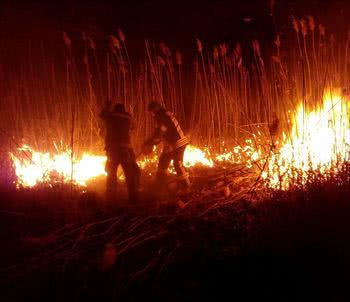 Рятувальники закликають до відповідальності у боротьбі з пожежами в дніпровських плавнях