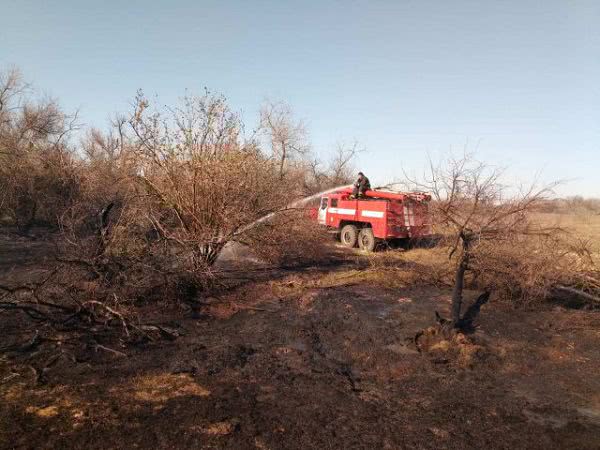 В Олешковском районе погасили масштабный пожар сухостоя на подступах к лесу